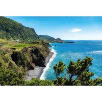 Flores – Hanneke Wetzer / Shutterstock