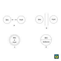 Základní modely psychofyzického problému: (a) psychofyzický interakcionismus – tělo a mysl jsou odlišné kvality, existují odděleně, ale vzájemně se ovlivňují; (b) psychofyzický paralelismus – tělo a mysl existují paralelně, neovlivňují se, avšak tělesné a duševní aktivity spolu korelují; (c) hylomorfismus – tělo a mysl tvoří kompaktní entitu, substanci; (d) „dvouaspektové teorie“ – člověk je organismus projevující se dvěma odlišnými aspekty, tělesným a duševním. Podle H. Misiaka, USA – CoJeCo.cz (CC BY-SA 4.0)