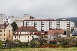 Boletice – Michael715 / Shutterstock