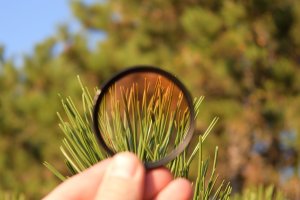 Polarizovaný barevný filtr – Photo69 / Shutterstock