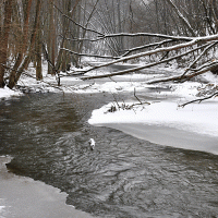 Řeka Rokytná – Petr Levicek / Shutterstock