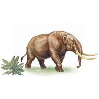 Mastodon (3D rekonstrukce) – Liliya Butenko / Shutterstock