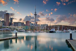 Auckland – Rudy Balasko / Shutterstock