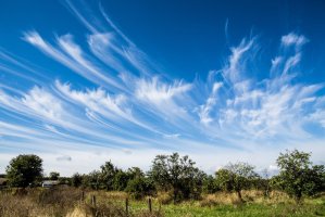 Oblak typu Cirrus – Martchan / Shutterstock