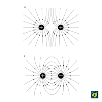 Siločára: Průběh siločar elektrického pole dvou stejných souhlasných (a) a nesouhlasných nábojů (b) – CoJeCo.cz (CC BY-SA 4.0)
