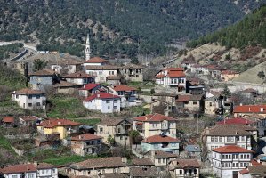 Adapazari – 79mtk / Shutterstock