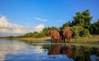 Krügerův národní park – JMx Images / Shutterstock
