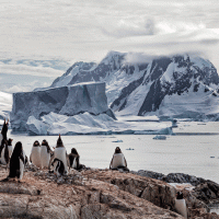 Antarktida – pics721 / Shutterstock