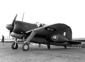 Brewster F2A Buffalo – Profimedia.CZ