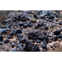 Vyvřelina – Eduard Goricev / Shutterstock