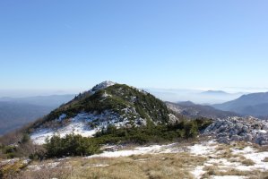 Vrchol hory Bjelolasica – amirkinai / Shutterstock