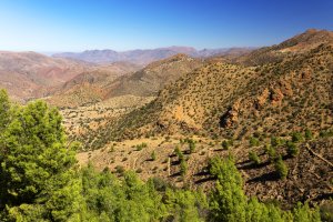 Antiatlas – Mikadun / Shutterstock