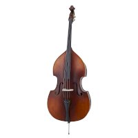 Kontrabas – All Music Instruments / Shutterstock