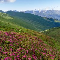 Ligurské Alpy – Dmytro Surkov / Shutterstock