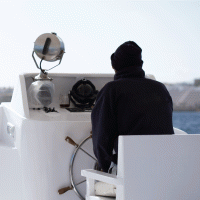 Kormidelník – Olena Shvets / Shutterstock