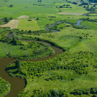 Řeka Wieprz – Curioso.Photography / Shutterstock
