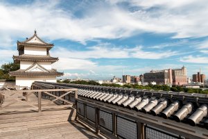 Akaši – Alon Adika / Shutterstock