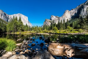 Yosemitský národní park – Mikhail Kolesnikov / Shutterstock