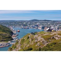 Nový Foundland – Pi-Lens / Shutterstock