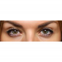 Lidské oči – megaflopp / Shutterstock