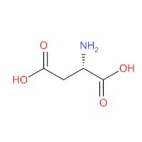 Asparagová kyselina, strukturní vzorec – CoJeCo.cz (CC BY-SA 4.0)