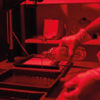 Vývojka – Pressmaster / Shutterstock