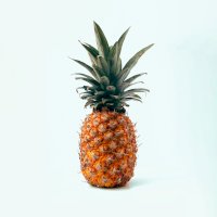 Ananas, plodenství – Miguel Andrade / Unsplash