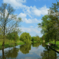 Řeka Cidlina – bikemp / Shutterstock