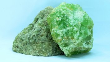 Nefrit – thanannopthanoch thongmam / Shutterstock