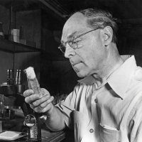 Hermann Joseph Muller – fair use