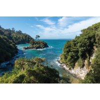 Stewartův ostrov – patjo / Shutterstock