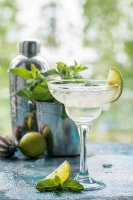 Margarita – Goskova Tatiana / Shutterstock