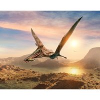 Pterodactylus (3D rekonstrukce) – Warpaint / Shutterstock