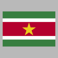 Státní vlajka Surinamu – volné dílo