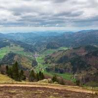 Schwarzwald – Menno van der Haven / Shutterstock