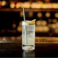 Gin fizz – Maksym Fesenko / Shutterstock