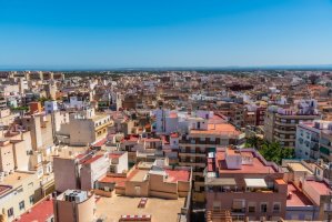 Elche – trabantos / Shutterstock