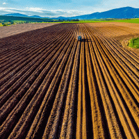 Brázdy v ornici na poli – zedspider / Shutterstock