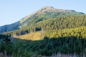 Patria – PeterVrabel / Shutterstock