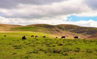 Lowlands – Vito Horak / Shutterstock