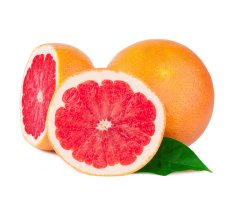 Grapefruit – SaGa Studio / Shutterstock